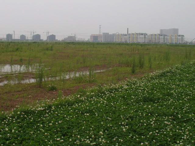 ¾ÆÁ÷ ºó¶¥ÀÌ ¸¹Àº µ¿Ç׽à »ê¾÷´ÜÁö