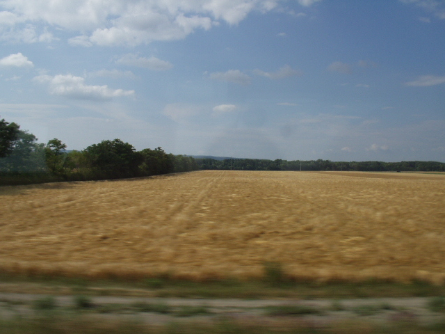 �񿣳�-�δ��佺Ʈ ö�������� ǳ��