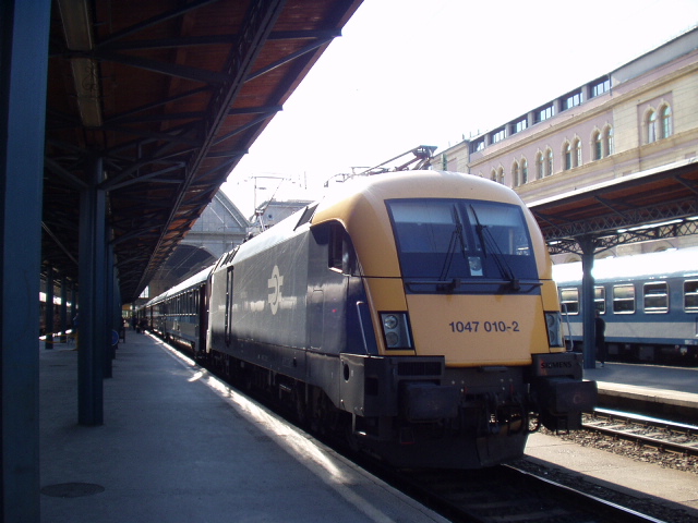 �񿣳��� ���� ����