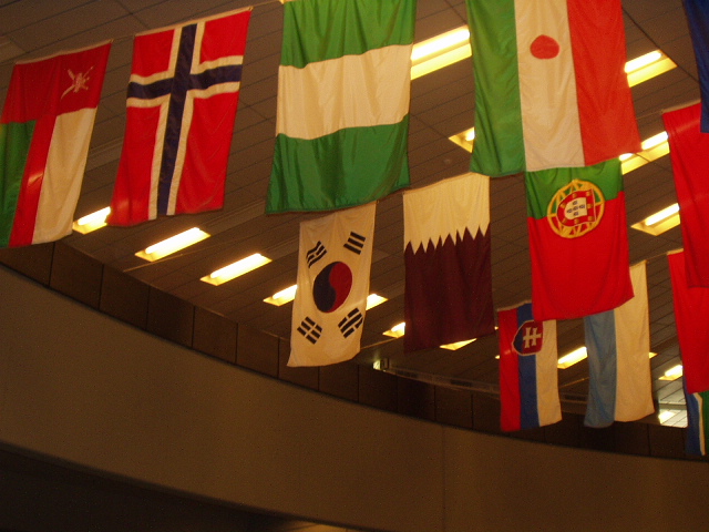 Korean flag in the VIC lobby