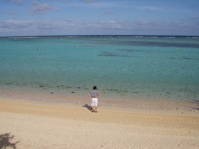 ������� �ٶ󺸴� ū�Ƶ�