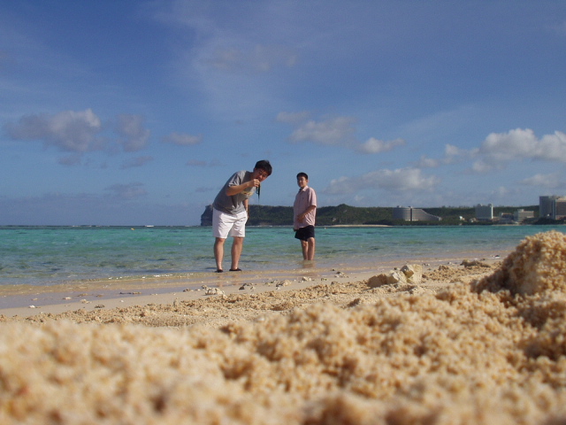 ��ȣ�� ��