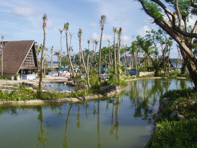 ī�� ��Ʈ��