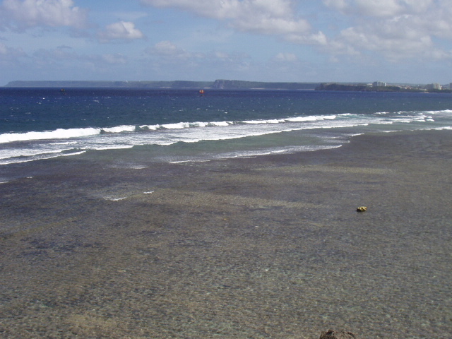 ������� ��ȣ�� �ٴ�