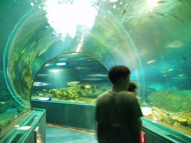 ������ �� ��ñ۰Ÿ��� ������