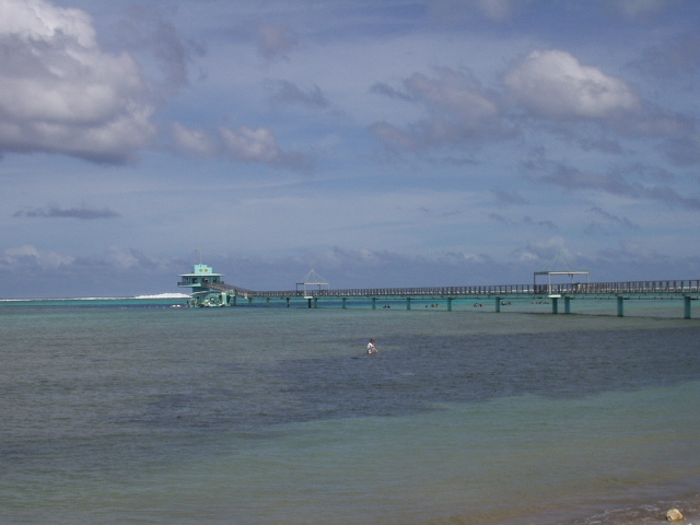 ������ ���̹��� ���� ��Ƽ�ٿ�