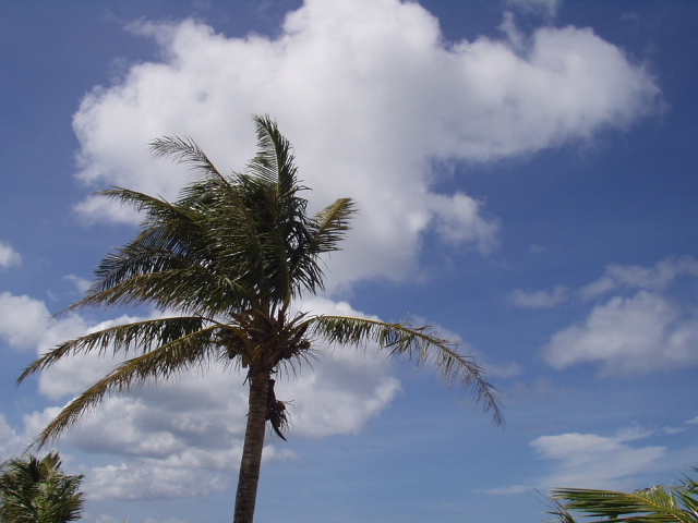 ���ڳ� ���ڼ�