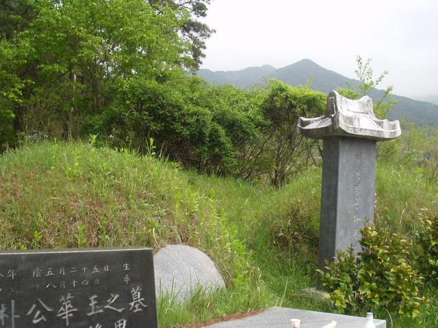 ȭ�� ū�ƹ��� ���