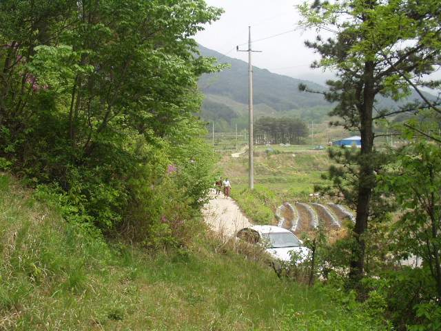 ȭ�� ū�ƹ��� ��ҿ��� �ٶ� �ֿ� ū�ƹ����� ����