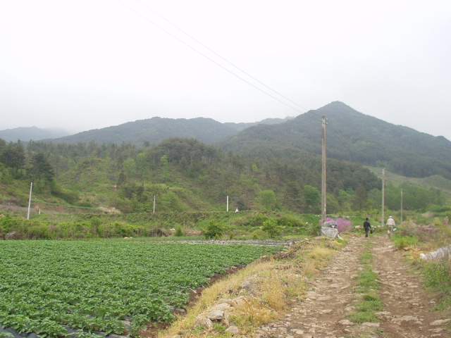 �ֿ� ū�ƹ��� ��� ���±�