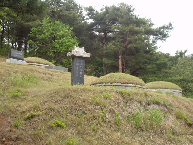 ��긮 �����ο� ���� ���