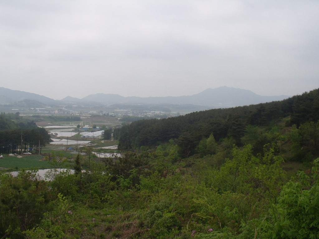 �������� �ٶ�ٺ� ����� ����