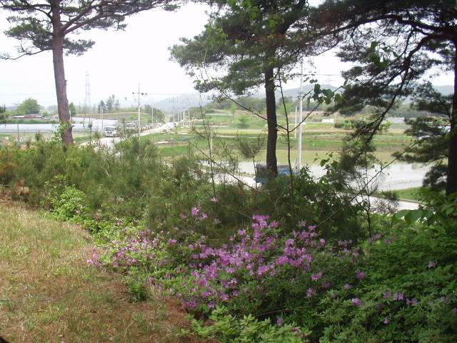 ���� �Ҿƹ��� ��ҿ��� �ٶ� �ű⸮ ����