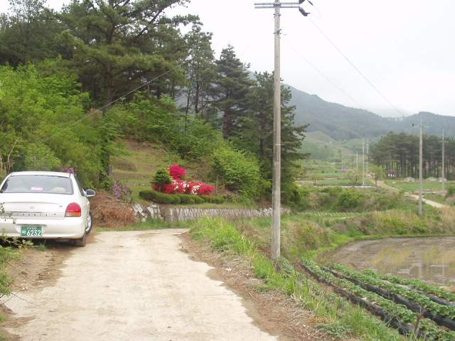 ������ �� ���� ��