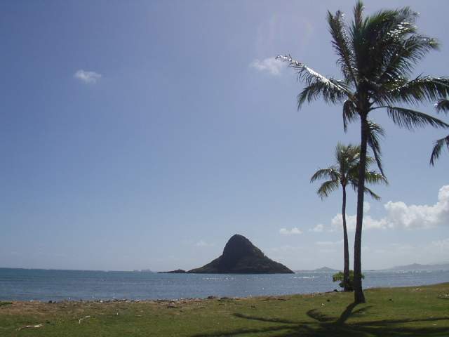 �߱��� �뵿���� ���� ����� �� ��