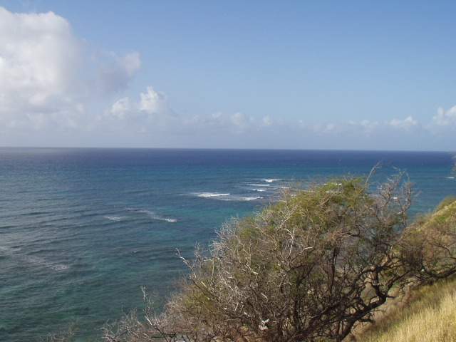 ���̾Ƹ�� ��忡�� �ٶ� �����