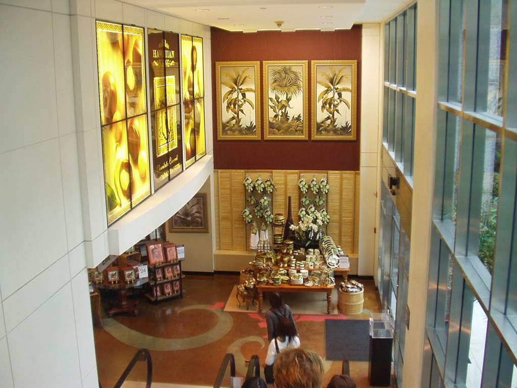 �������� �鼼���� ����