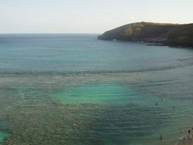 �ϳ��츶 ������ ����