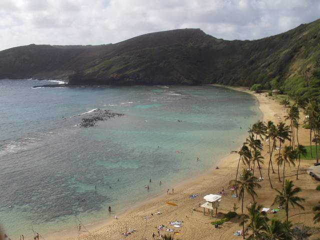 ������ ���� �ϳ��츶 ����