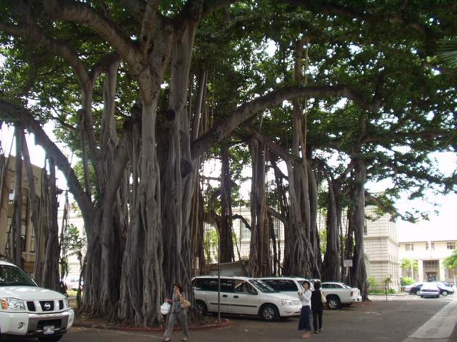 �Ͽ��� ����û�� �α��� ������ ����