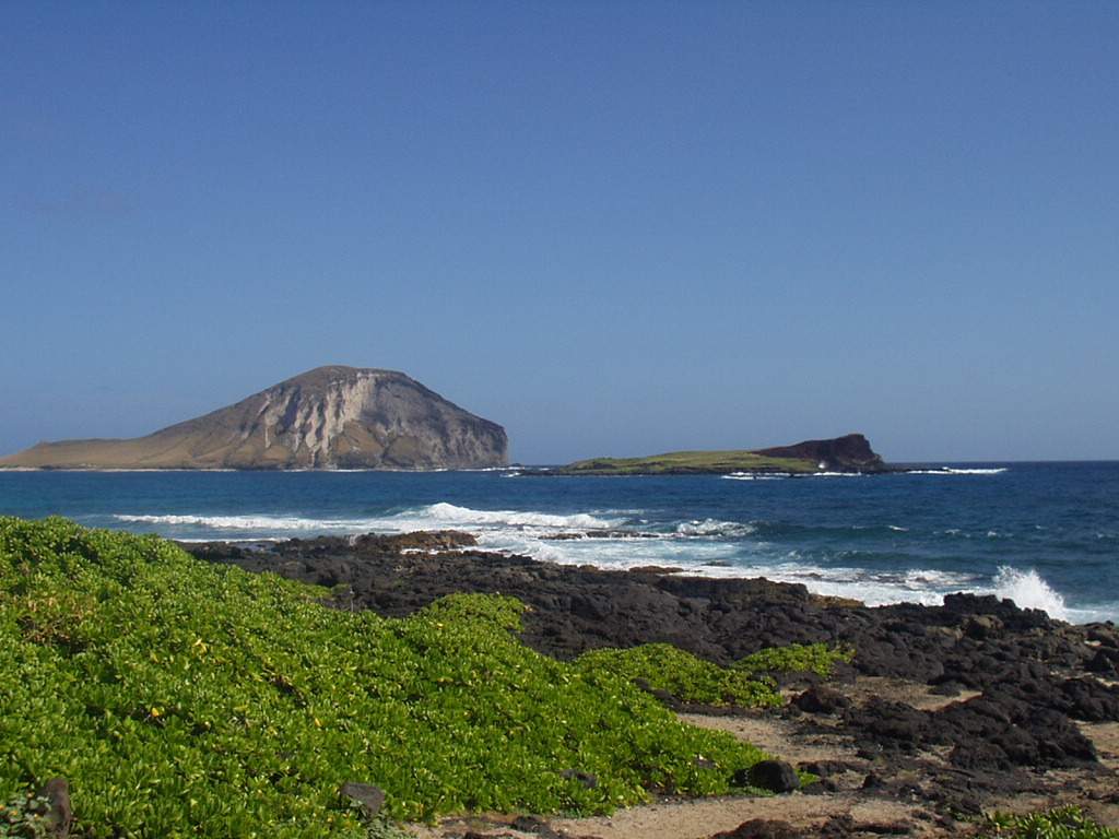 ��īǪ�� ����Ʈ�� ��ġ