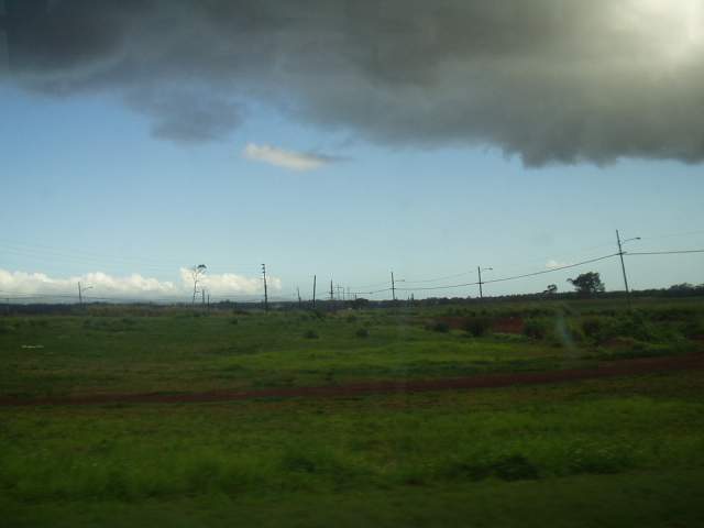 Dole���� ���ξ��� ����