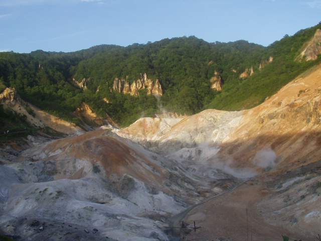 ��õ������ �ٶ�ٺ��̴� ������ ǳ��