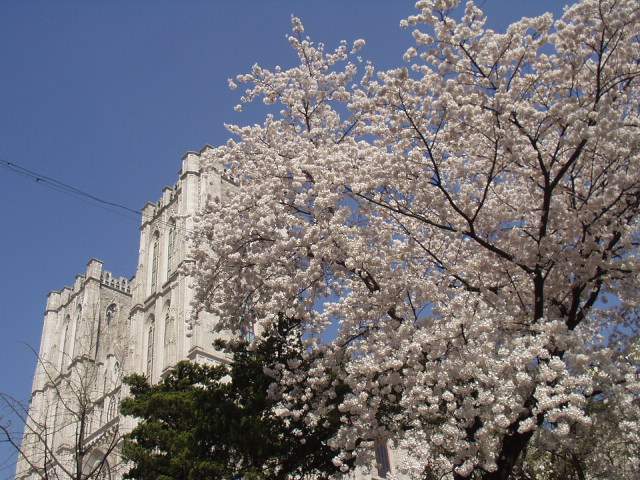 ��ȭ�� ����