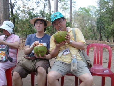 갈증해소에 안성맞춤인 코코넛 열매