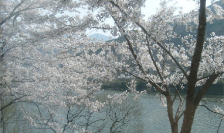 ���������� ȭ���� ����