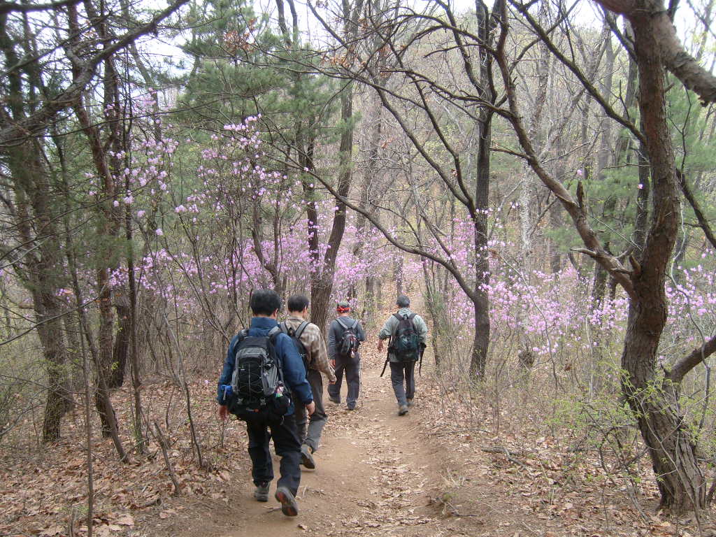 ���޷� ���ͳ� ���̷� �ϻ��Ͽ���