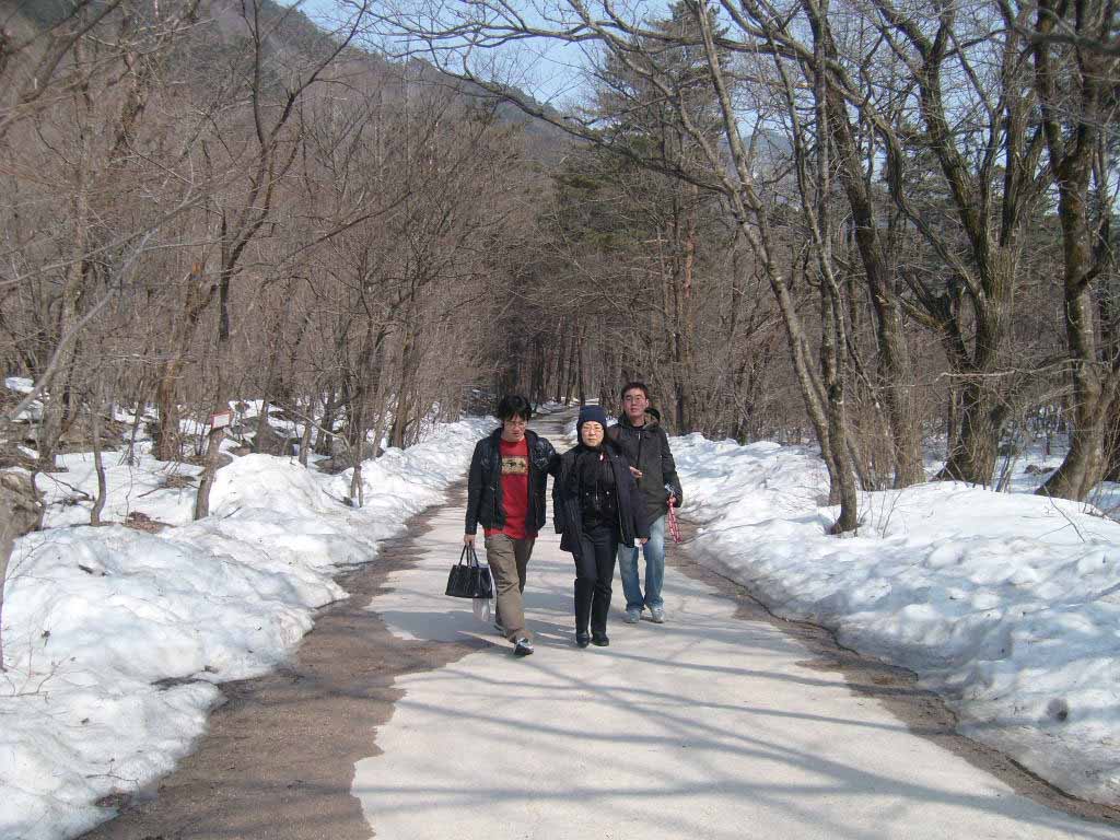 ���ǻ� �Ա� ��å��