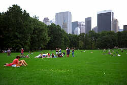 Sheep Meadow of Central Park in New York