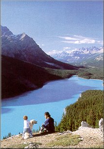 �� ����� �� ������ ������ ����ȣ