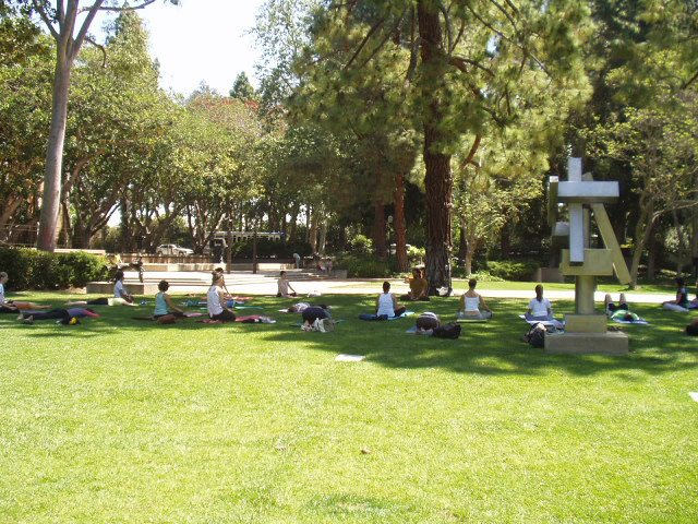 UCLA 캠퍼스의 조각공원 안에서 명상 수련을 하는 학생들