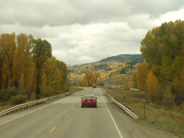 ¾Æ¸§´Ù¿î ´ÜdzÀ» º¸¸ç