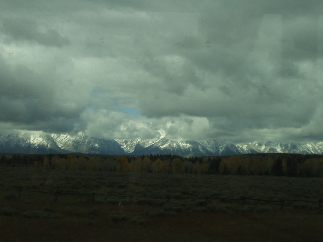 �׷��� Ƽ���� ���� ����