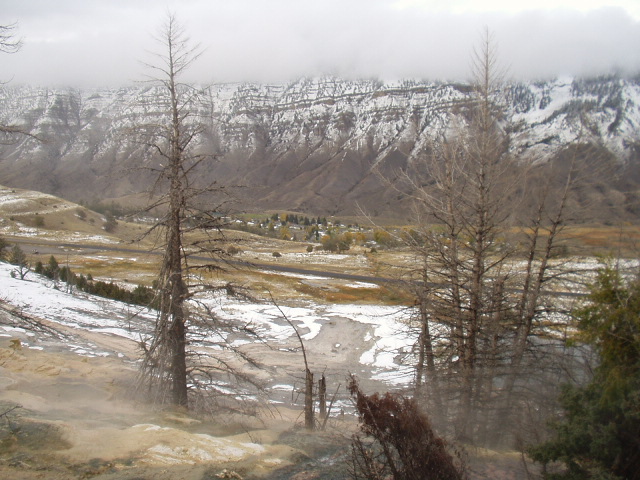 ¸¾¸ð½º ¿ÂõÁö´ë ÁÖº¯ dz°æ