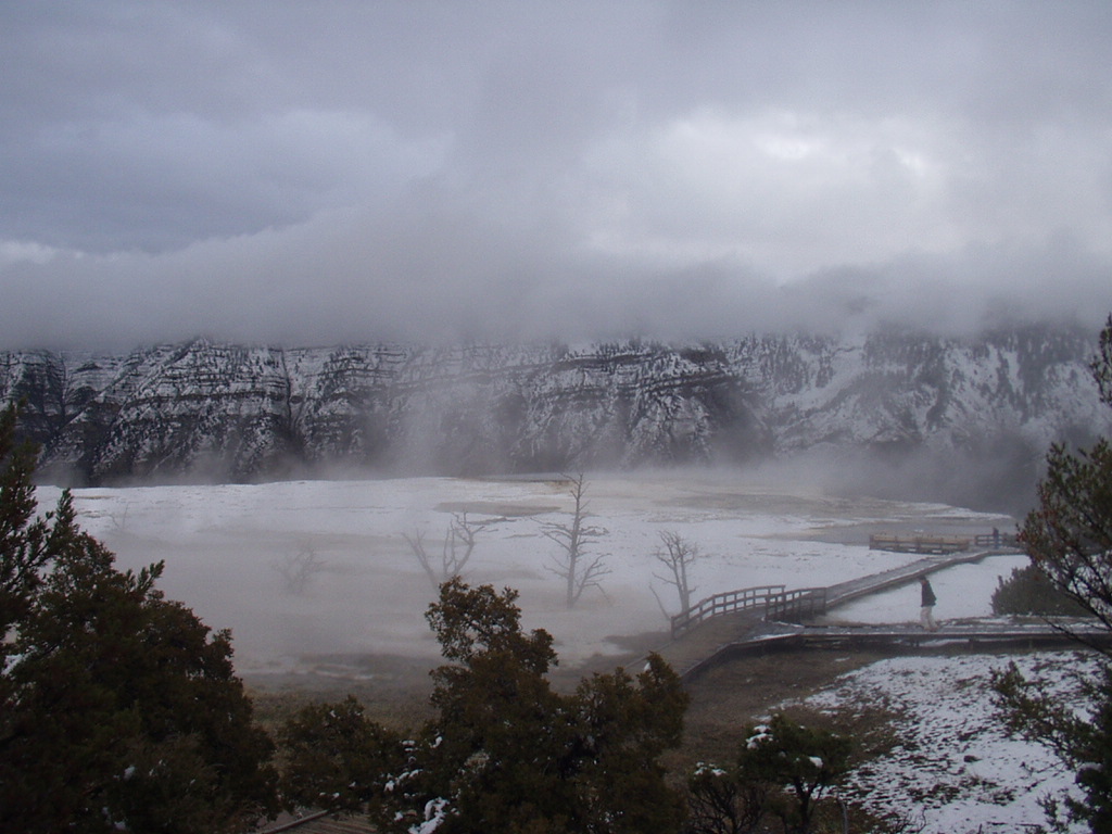 ¸¾¸ð½º ¿ÂõÁö´ë