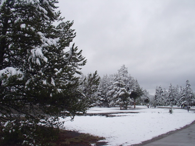 ũ�������� ������ ����� �ϴ� �ֺ� ǳ��